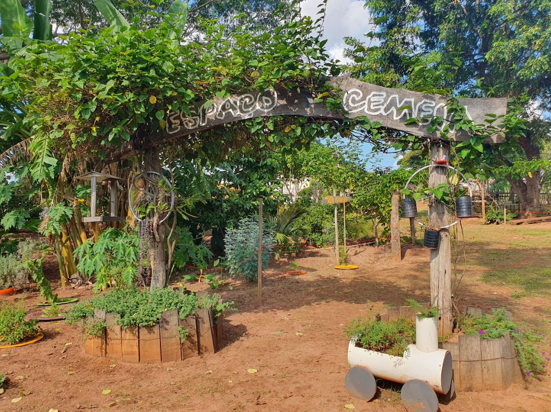 Conheça o Projeto CEMEIA: educação ambiental por meio da agricultura