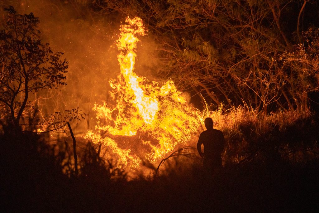 Em meio às cinzas de Bauru: Entenda as queimadas na cidade