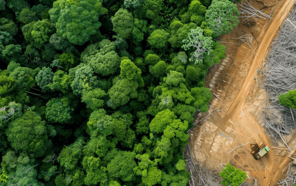 ‘PL da Devastação’ tem desdobramento preocupante após 21 anos de trâmite no&nbsp;Congresso
