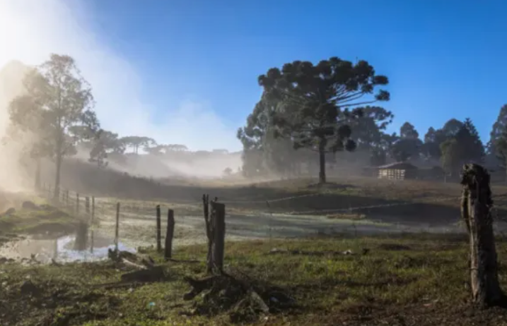 Inverno começa amanhã (21): veja previsões