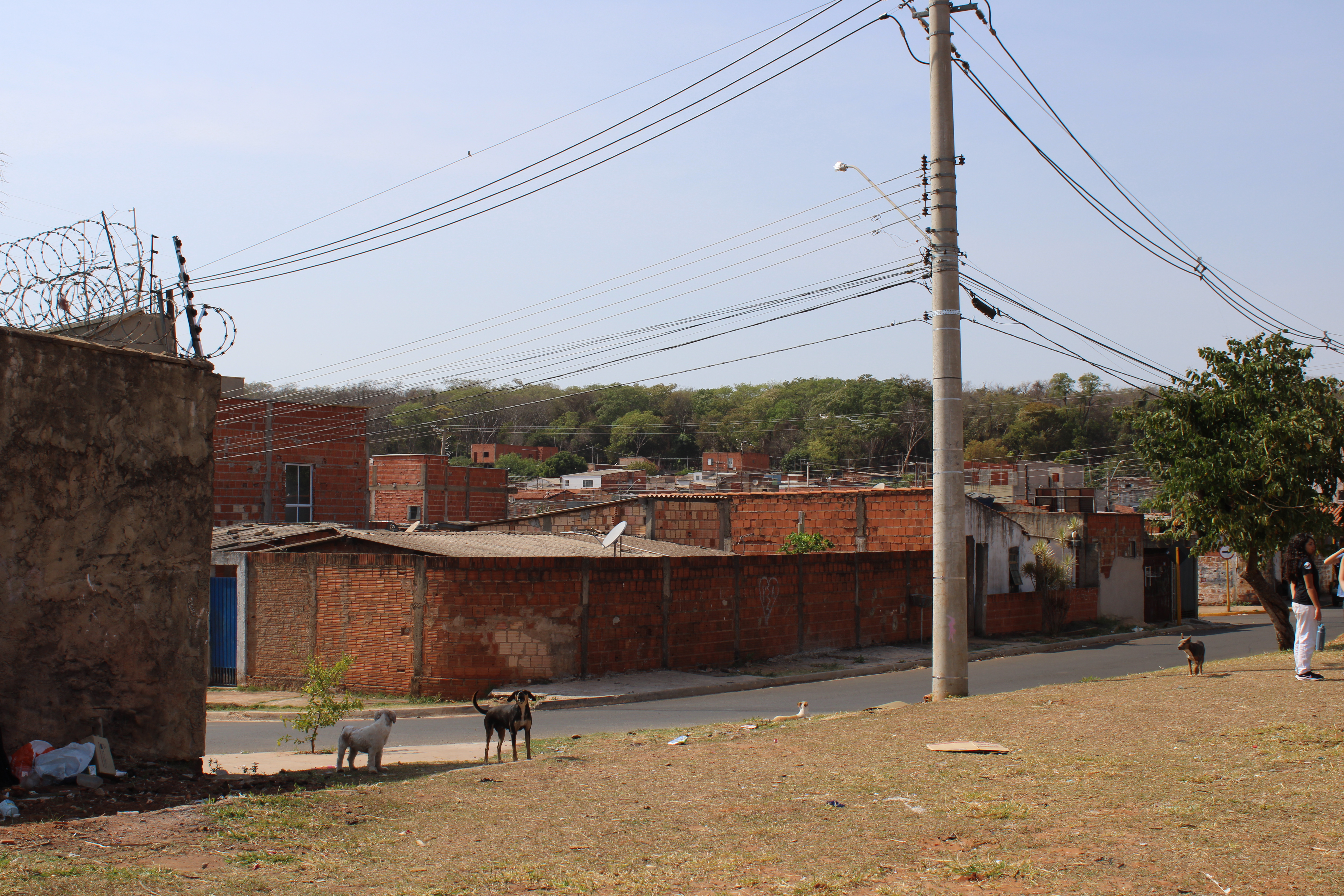 Quarenta anos de promessas: conheça as falhas da política habitacional de Bauru 