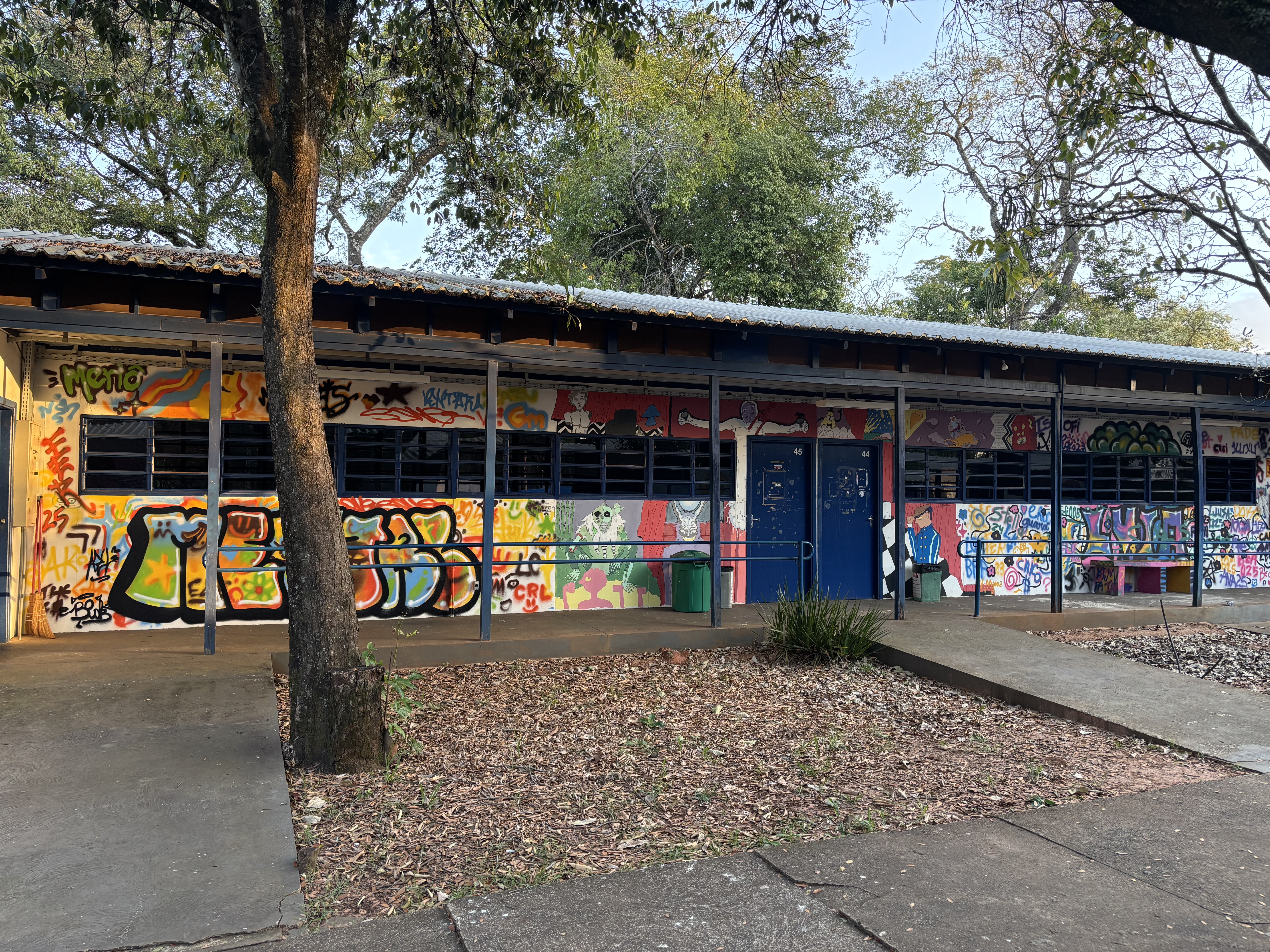 Arte urbana desperta pensamento crítico no ambiente de ensino